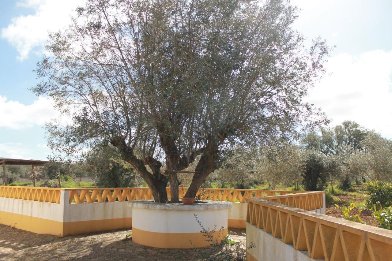 Montinho Do Palanque Villa Viana do Alentejo Kültér fotó