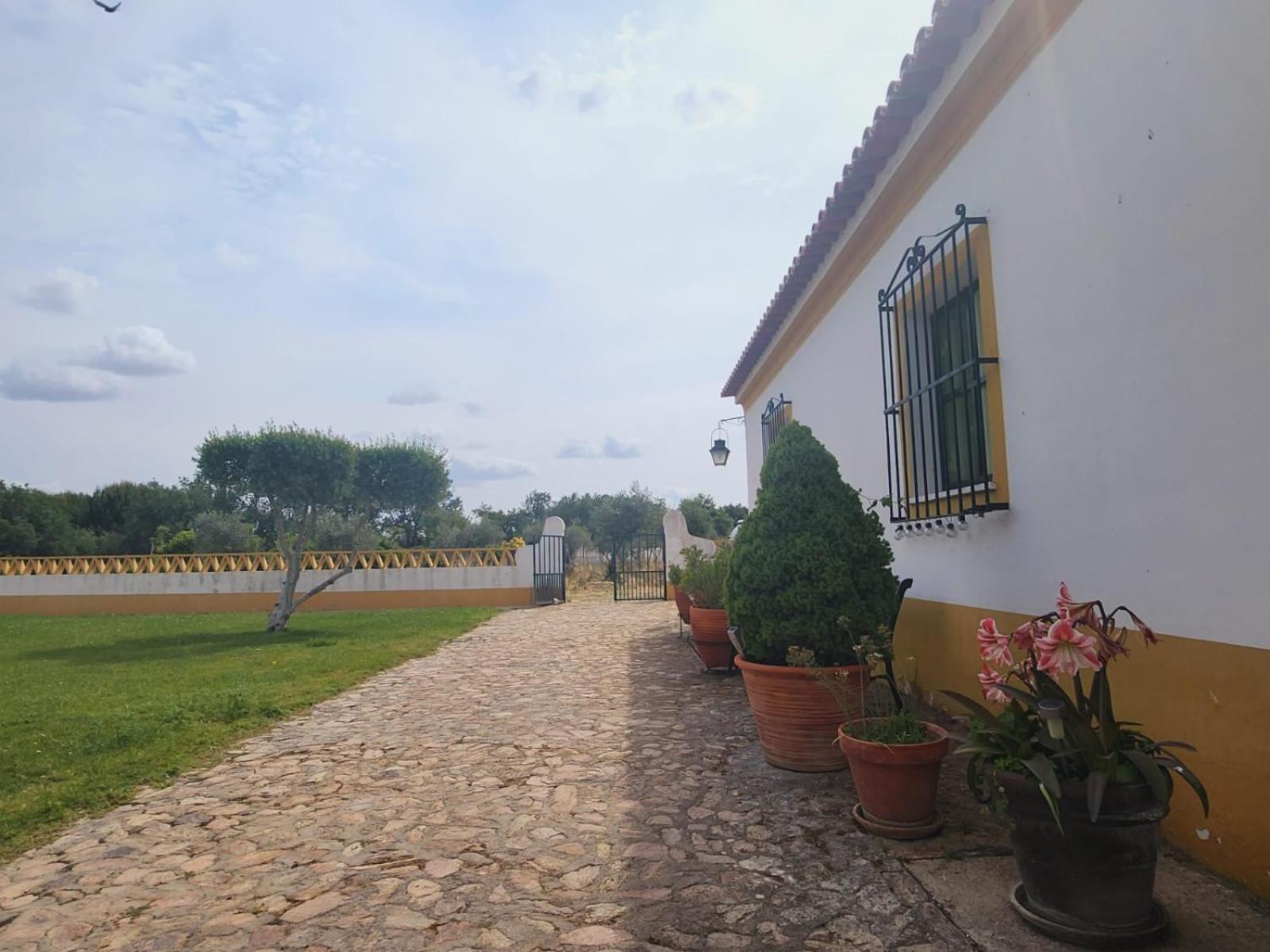 Montinho Do Palanque Villa Viana do Alentejo Kültér fotó