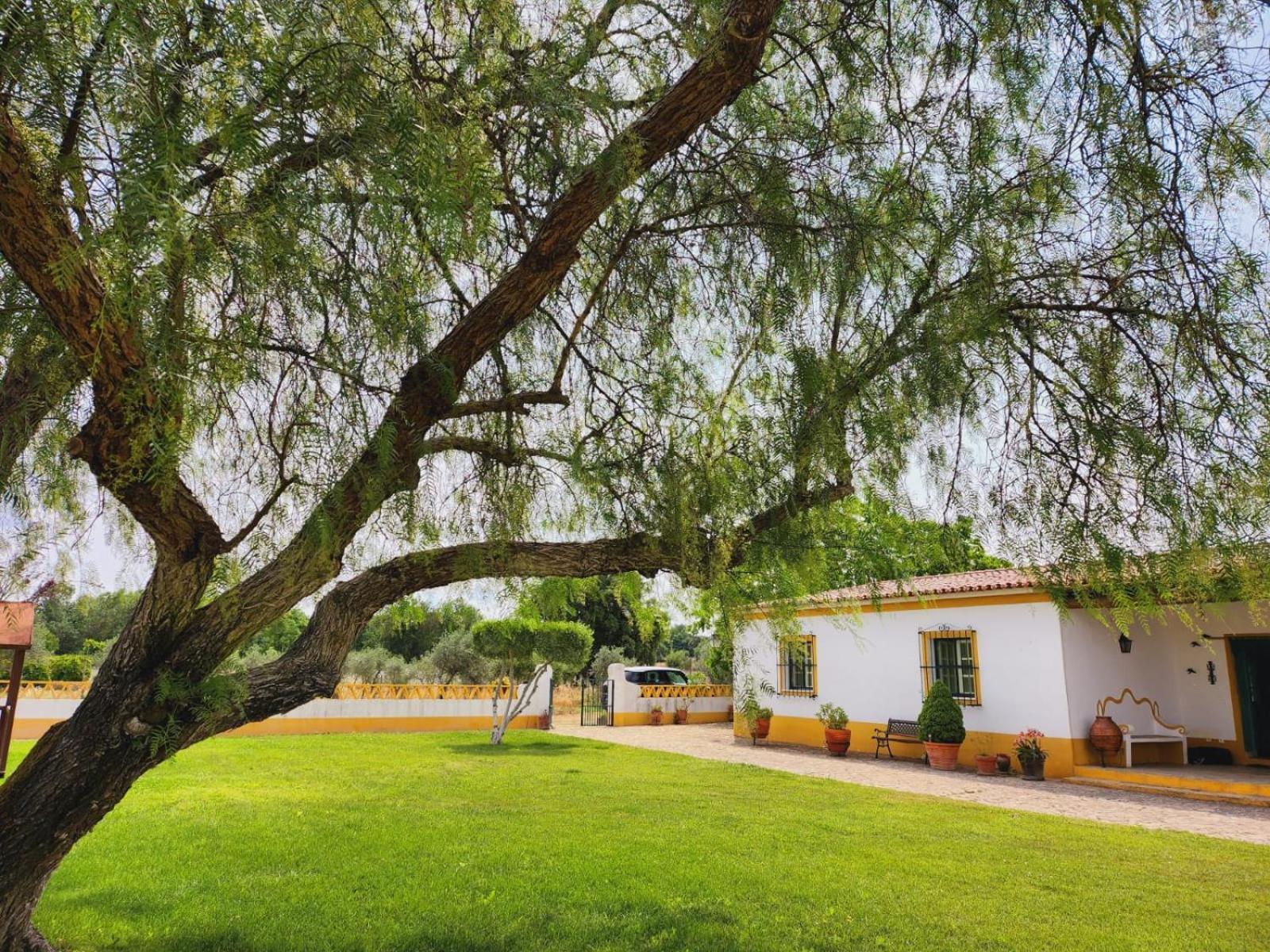 Montinho Do Palanque Villa Viana do Alentejo Kültér fotó
